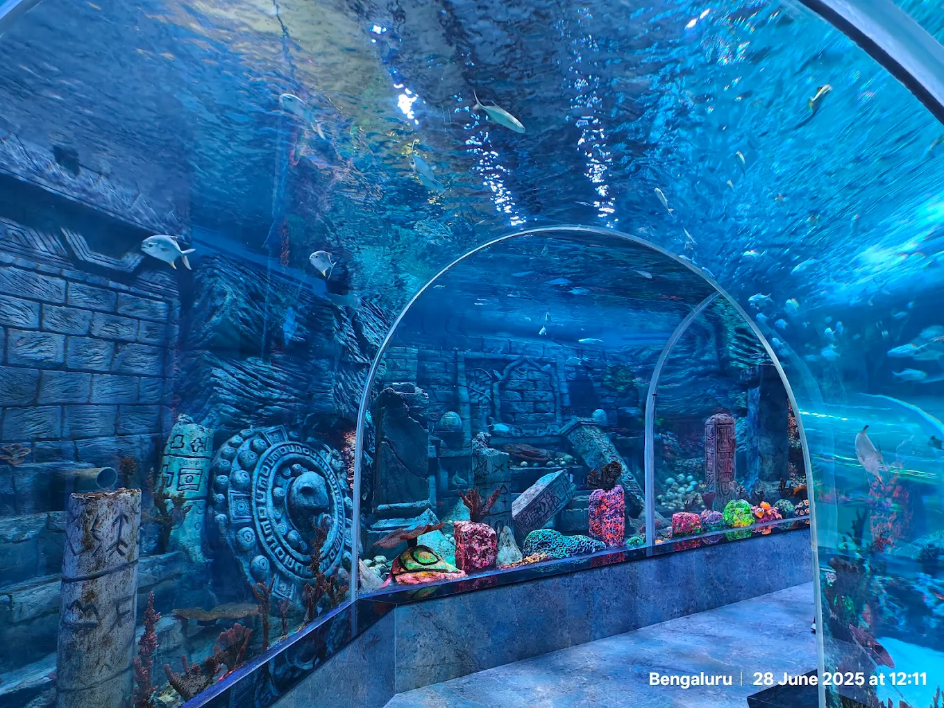 Aquarium Paradise